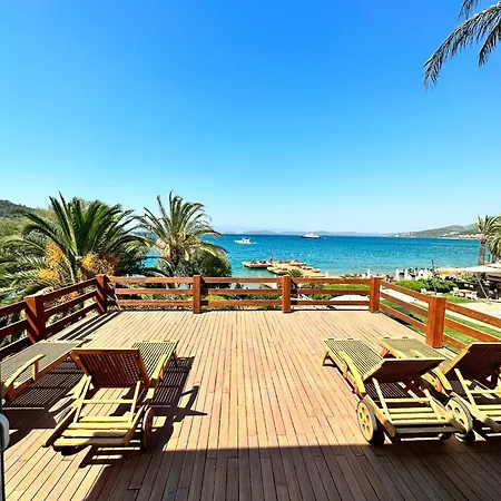 Hotel Casa Dell'arte Of Arts & Leisure 5*