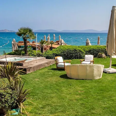 Casa Dell'arte Of Arts & Leisure Torba