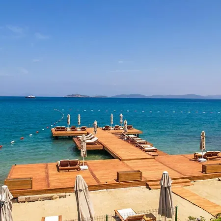 Hotel Casa Dell'arte Of Arts & Leisure