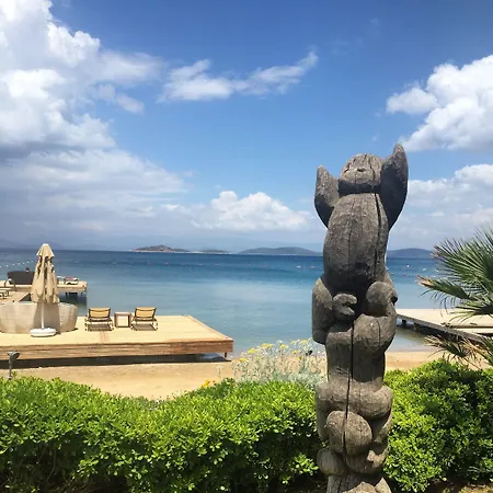 酒店 Casa Dell'arte Of Arts & Leisure 5*