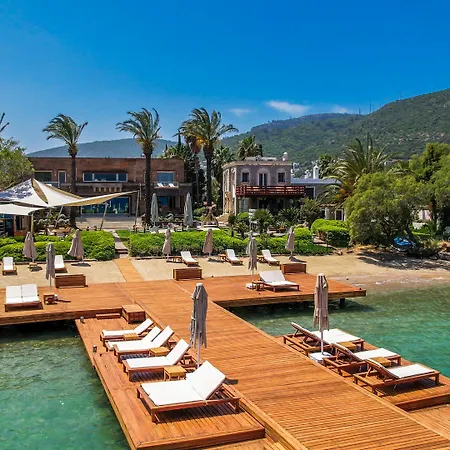 Casa Dell'arte Of Arts & Leisure