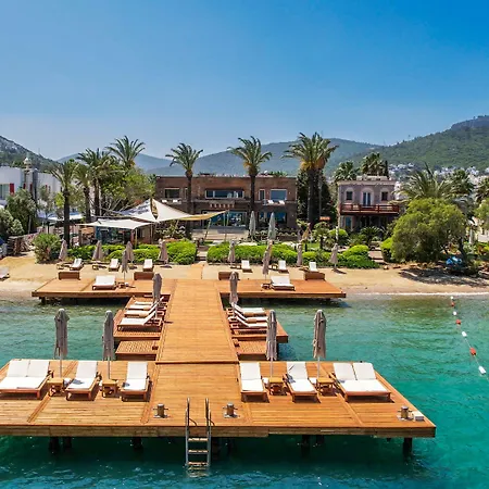 ホテル Casa Dell'arte Of Arts & Leisure トルバ