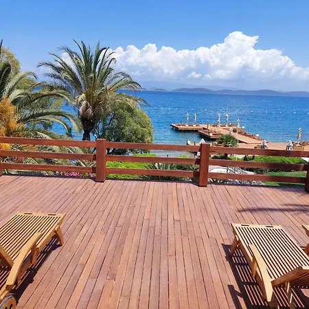 Hotel Casa Dell'arte Of Arts & Leisure 5*